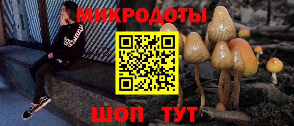 Гатчина  Галлюциногенные грибы прущие грибы  Вход с VPN 