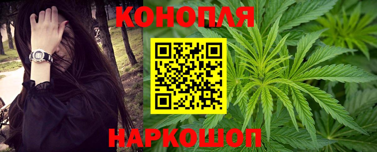 Гатчина  МАРИХУАНА SATIVA & INDICA  Каннабис планчик  Каннабис семена  Вход с VPN 